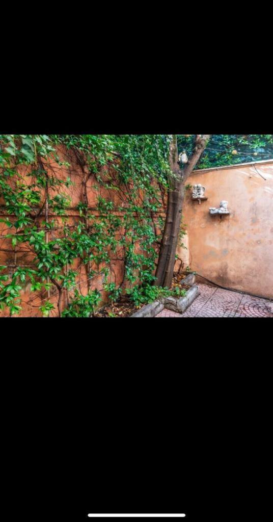 Olimpico'S Apartment 罗马 外观 照片